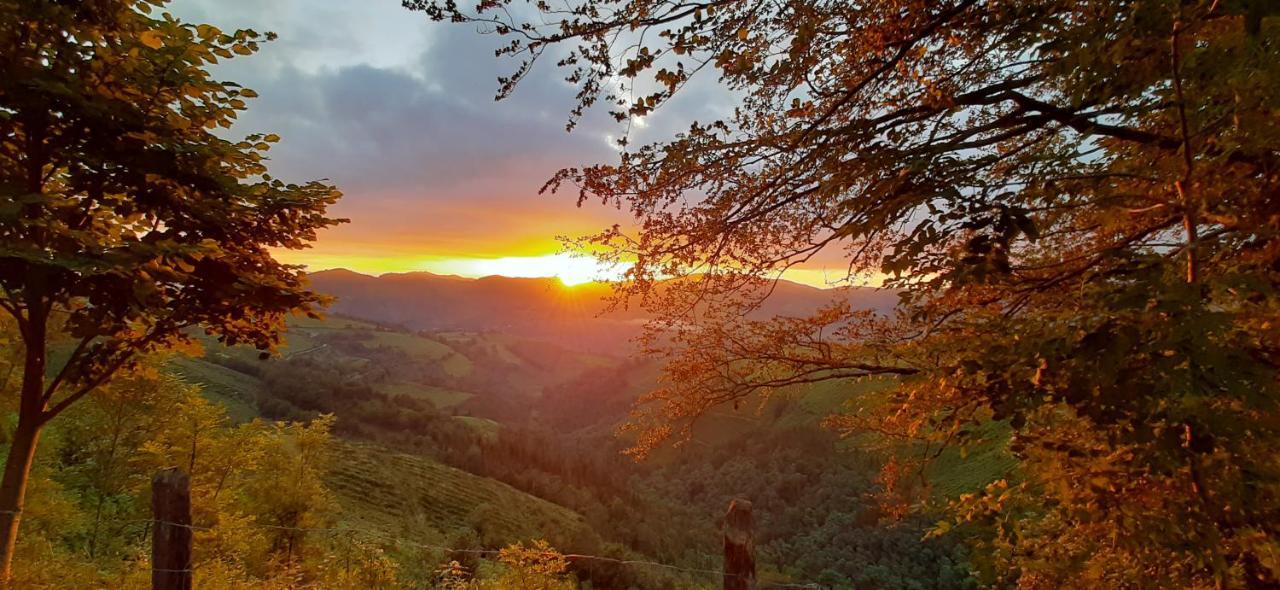 Ondarbaso Apartamentos Rurales III セストア エクステリア 写真